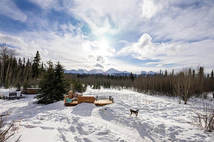 3-Day Yukon Northern Lights Lodge Adventure from Whitehorse photo 2