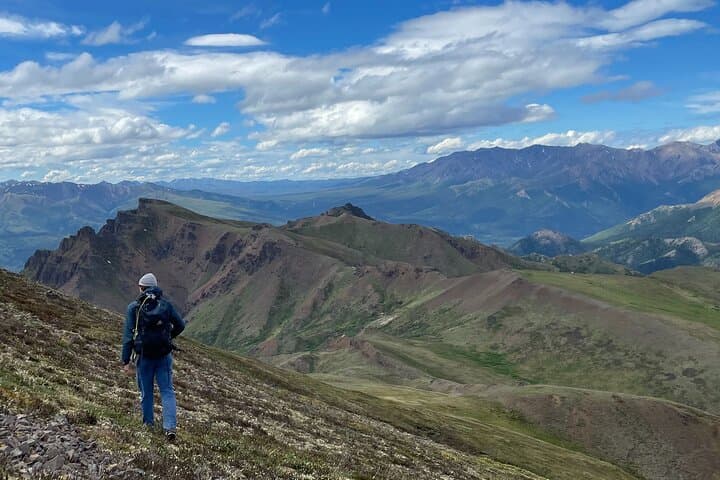 Denali 4-Hour Hiking Adventure: Explore Alaska’s Sub-Alpine Wilderness with a Naturalist Guide photo 2