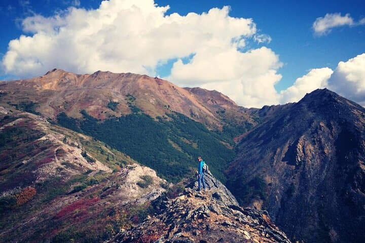 Denali 4-Hour Hiking Adventure: Explore Alaska’s Sub-Alpine Wilderness with a Naturalist Guide photo 3