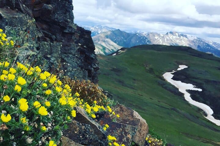 Denali 4-Hour Hiking Adventure: Explore Alaska’s Sub-Alpine Wilderness with a Naturalist Guide photo 4