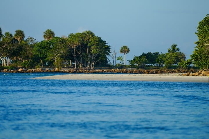Naples Half-Day Private Eco Tour & Shelling Trip — Dolphins, Manatees and Backwater Shelling photo 2