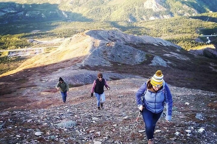 Denali 4-Hour Hiking Adventure: Explore Alaska’s Sub-Alpine Wilderness with a Naturalist Guide photo 6