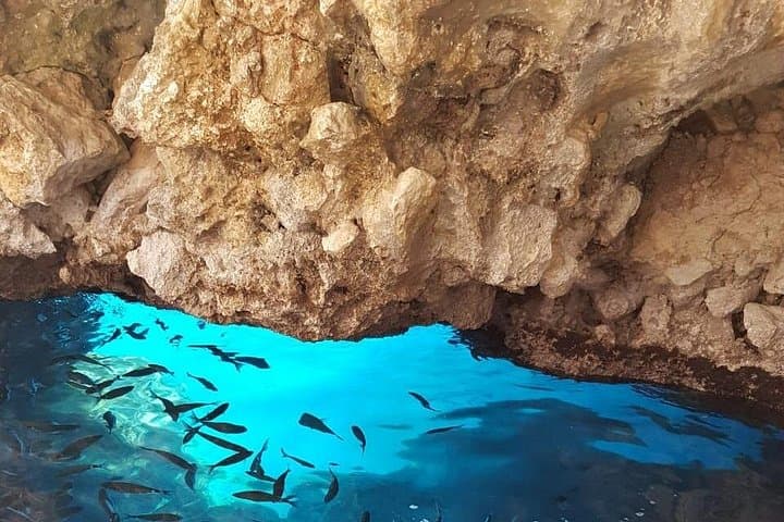 Corfu Blue Caves & Limni Beach: 3-Hour Semi-Private Boat Trip from Paleokastritsa photo 2