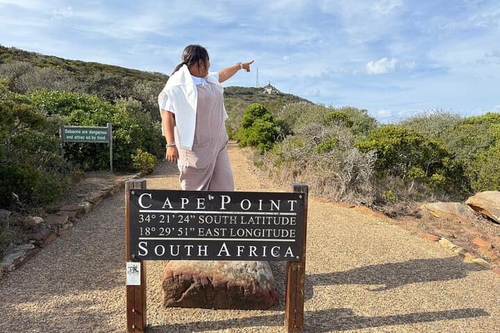 Full-Day Cape Peninsula Drive: Bo-Kaap, Seals, Penguins & Cape Point