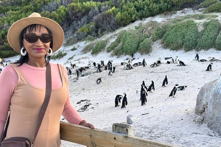 Full-Day Cape Peninsula Drive: Bo-Kaap, Seals, Penguins & Cape Point photo 4