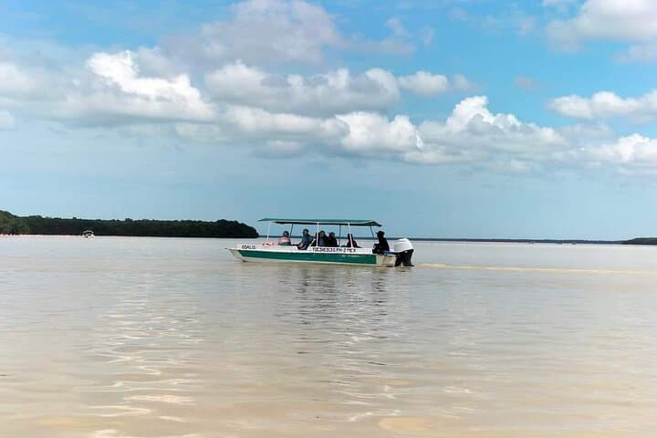 Celestún Flamingo Adventure from Mérida — Mangrove Boat Tour & Beach Lunch photo 3