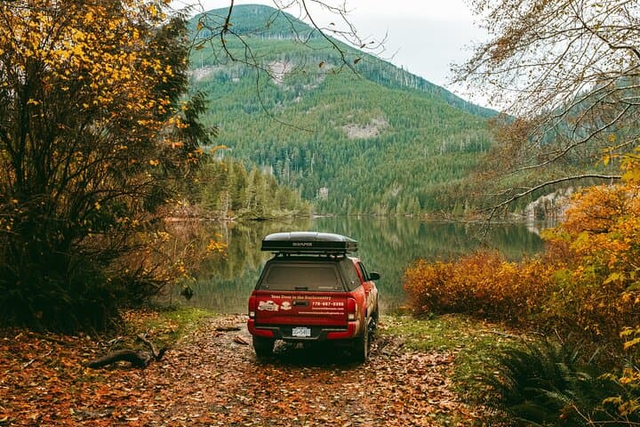 Vancouver Island Fall Adventure: Grizzly Bears, High Tea & Coastal Lodges photo 3