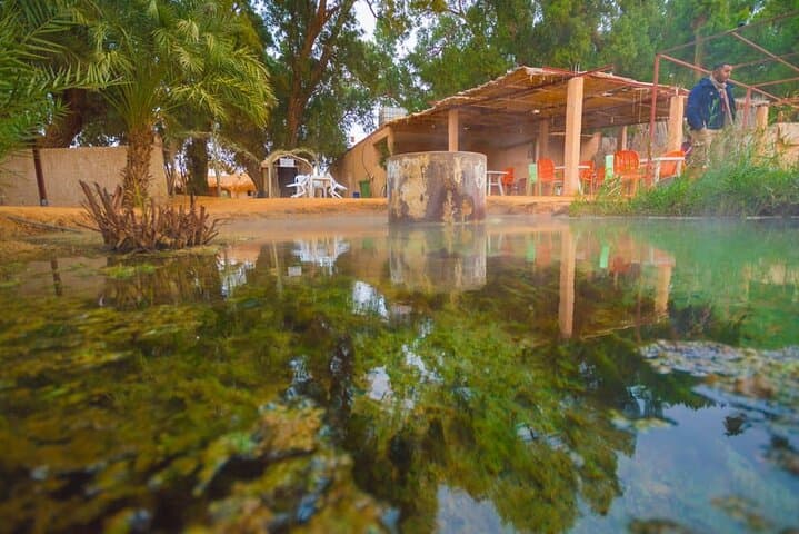 Overnight at Ksar Ghilane: Desert Camp, Star-Gazing & Ksar Tours photo 2