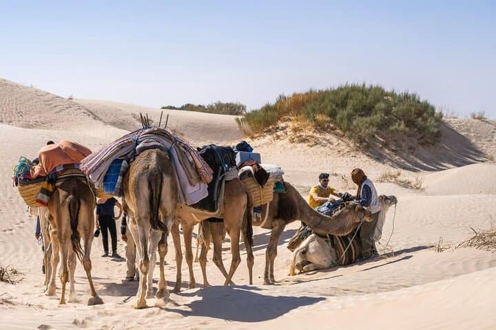 Overnight at Ksar Ghilane: Desert Camp, Star-Gazing & Ksar Tours photo 6