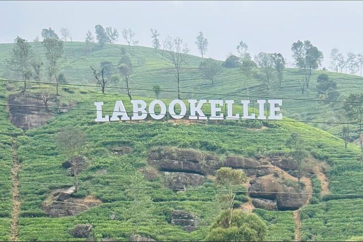 Private Day Tour to Nuwara Eliya from Kandy — Damro Labookellie Tea & Eagle's Viewpoint photo 3