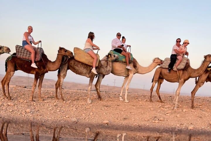Agafay Desert Camel Ride & Sunset Dinner — Camel Trek, Berber Music and Fire Show Near Marrakech photo 6