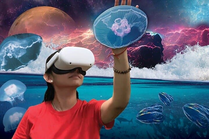 Field Museum Chicago Admission with VR Experience: Tickets, Tips & What to Expect photo 3
