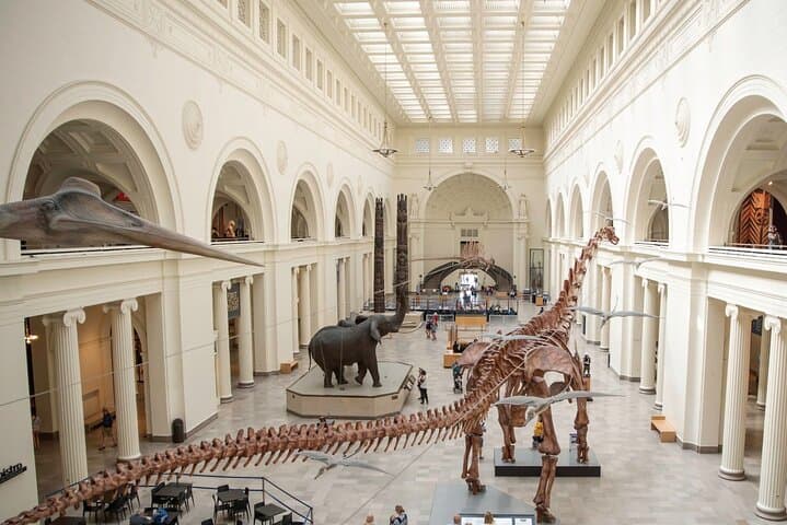 Field Museum Chicago Admission with VR Experience: Tickets, Tips & What to Expect