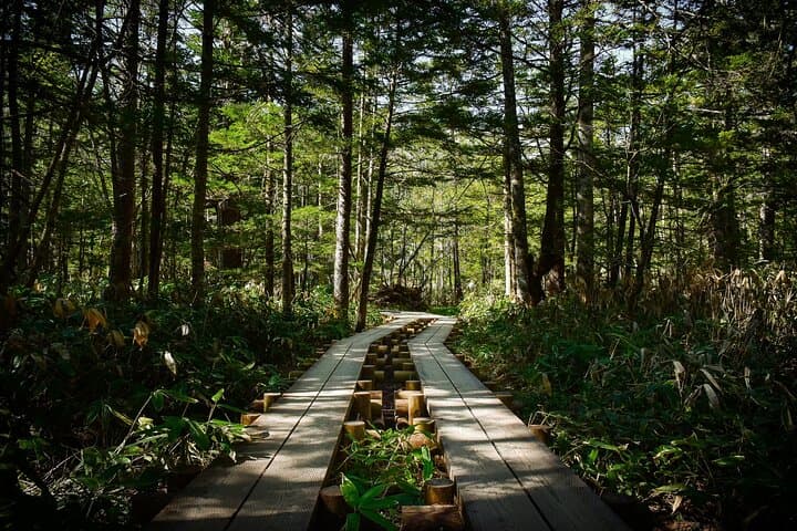 Private Kamikochi Summer Escape: Alpine Valley Wildlife & Kappa Bridge photo 5
