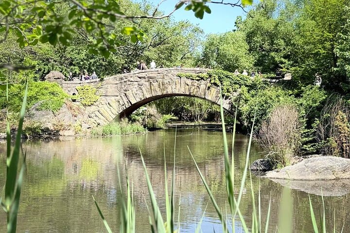 central-park-pedicab-tour-private-movie-locations-guided-ride photo 4
