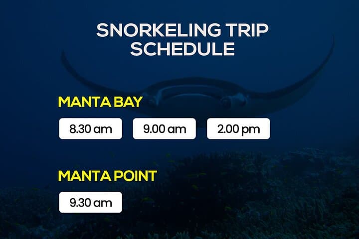 Manta Snorkel Half-Day from Nusa Penida: Manta Bay, Crystal Bay & Gamat photo 2