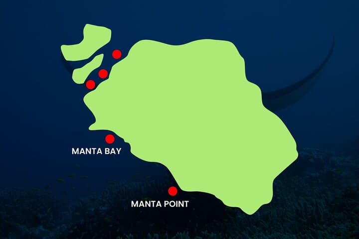 Manta Snorkel Half-Day from Nusa Penida: Manta Bay, Crystal Bay & Gamat photo 3