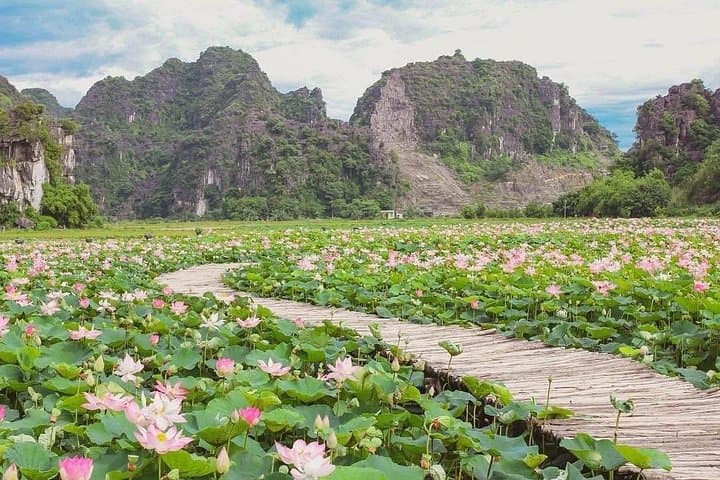 Hanoi to Ninh Binh Day Trip — Mua Cave Hike & Trang An Boat Ride Guide photo 4