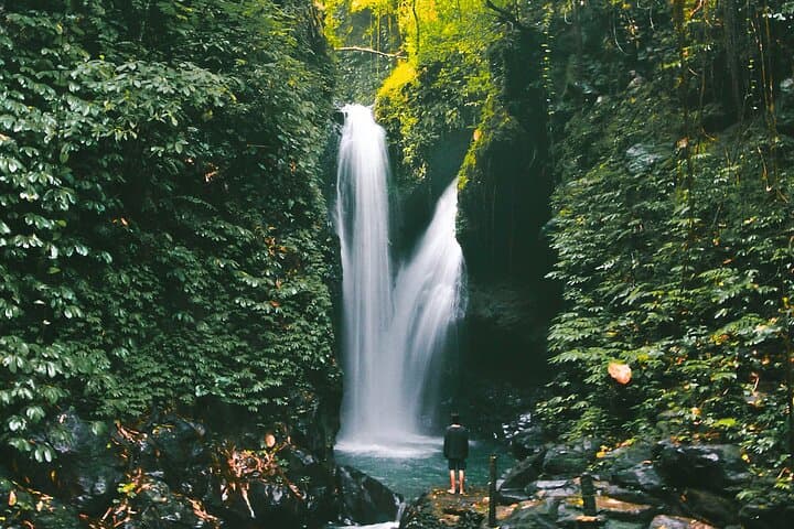 Discover North Bali: Private Full-Day Temples, Waterfalls & Rice Fields photo 6