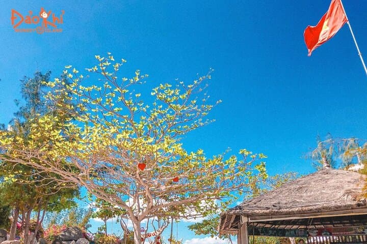 Monkey & Orchid Islands Day Trip from Nha Trang — Beaches, Monkeys & Orchid Gardens photo 2