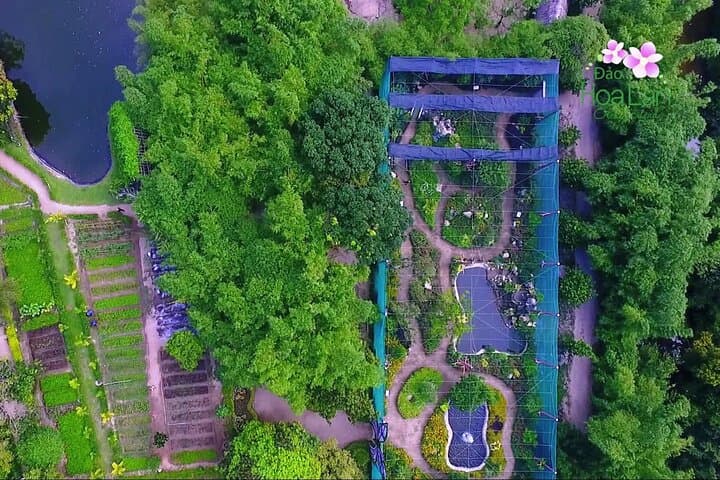 Monkey & Orchid Islands Day Trip from Nha Trang — Beaches, Monkeys & Orchid Gardens photo 3