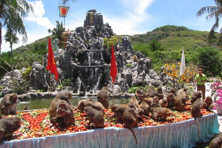 Monkey & Orchid Islands Day Trip from Nha Trang — Beaches, Monkeys & Orchid Gardens photo 5