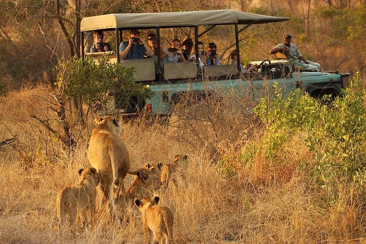 5-Day Cape Town to Kruger Safari & Garden Route — Table Mountain, Penguins, Elephants photo 2