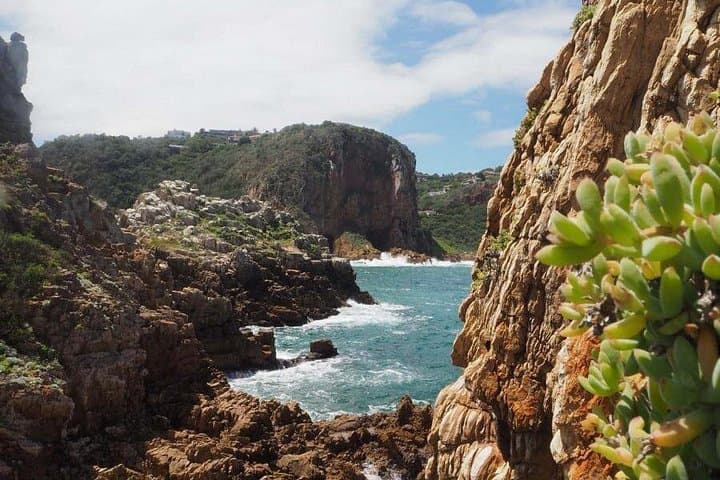 5-Day Cape Town to Kruger Safari & Garden Route — Table Mountain, Penguins, Elephants photo 4