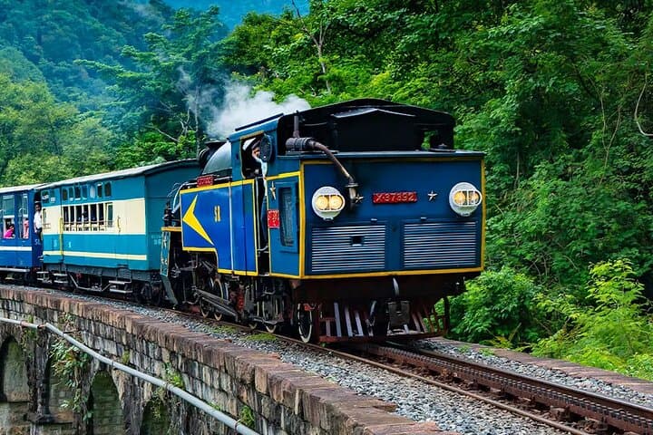 Nilgiri Toy Train and Ooty One‑Day UNESCO Sightseeing Tour