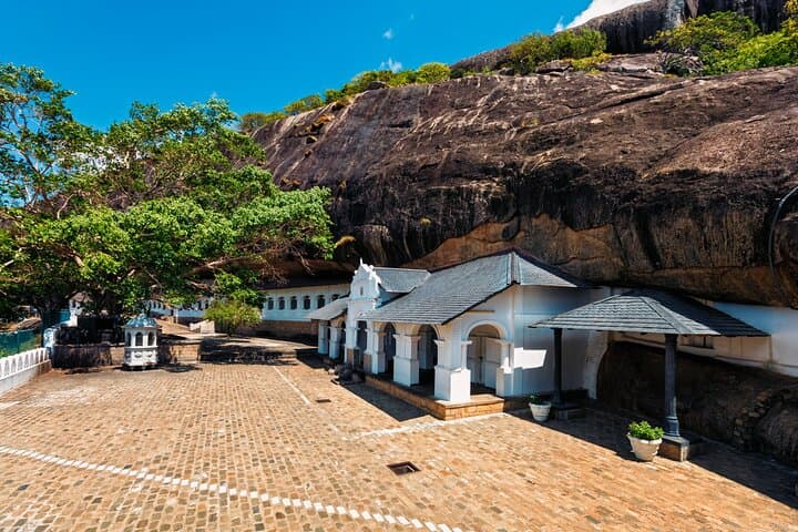 Sigiriya, Dambulla & Minneriya Safari: Private Day Trip from Colombo