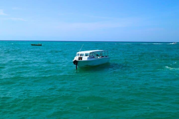 Snorkel Manukan & Sapi Islands: Full-Day Kota Kinabalu Marine Park Escape photo 6