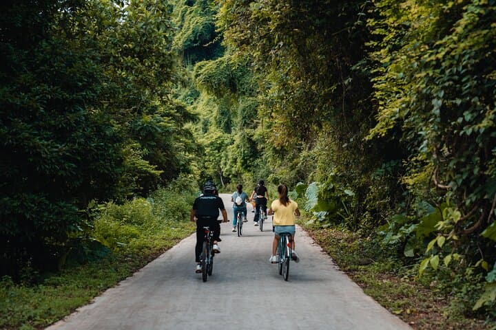 Halong & Lan Ha Bay 2-Day Luxury Cruise: Ambassador Signature Experience photo 5