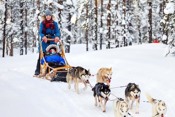 5km Husky Sled Ride in Rovaniemi — Passenger Kennel Experience in Lapland photo 4