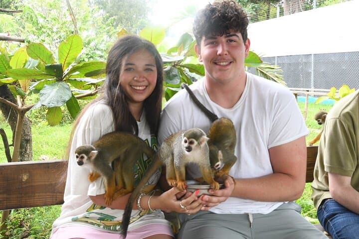 Damajagua Waterfalls & Monkey Home: Puerto Plata Full-Day Adventure photo 4