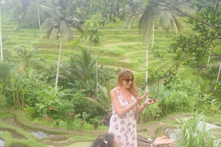 Ubud Discovery: Rice Terraces, Temples & Hidden Gems Day Tour