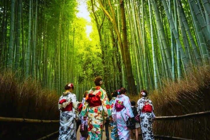 Osaka to Nara: Minoo Falls, Arashiyama Bamboo Grove & Todai-ji Full-Day Tour