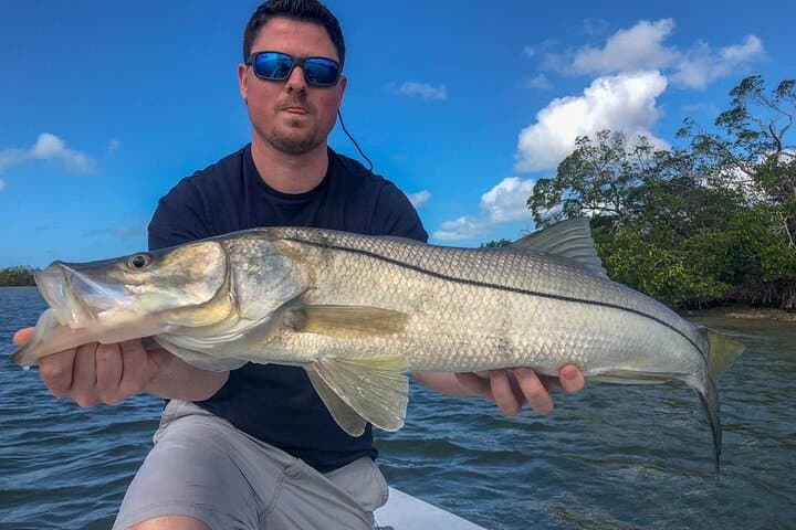 Half-Day Backwater Fishing in Naples: Tarpon, Redfish & Snook in Mangrove Channels photo 4