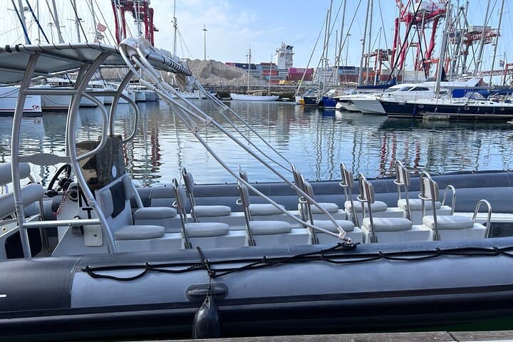 Speedboat Along the Tagus: Lisbon Landmarks, Sunset & Dolphins photo 6
