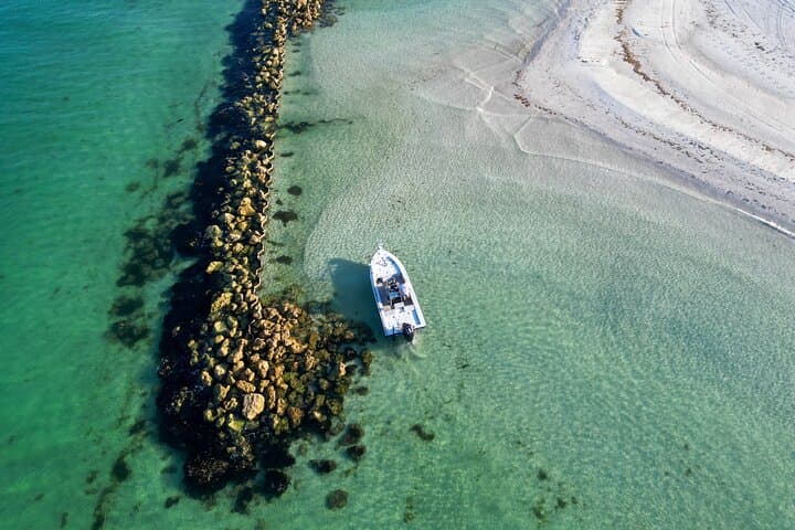 Naples Half-Day Private Eco Tour & Shelling Trip — Dolphins, Manatees and Backwater Shelling photo 4
