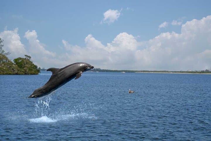 Private Sunset Cruise in Naples: 2-Hour Gulf Evening Tour photo 3