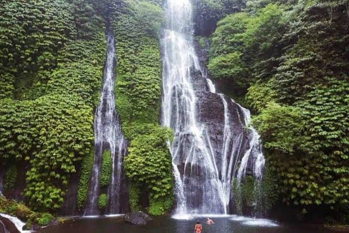 Ubud Discovery: Rice Terraces, Temples & Hidden Gems Day Tour photo 6