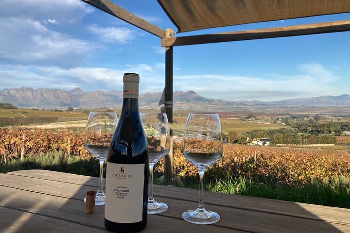 Private Franschhoek and Stellenbosch Wine Tour: Full-Day Premium Tastings & Winemaker Access photo 2