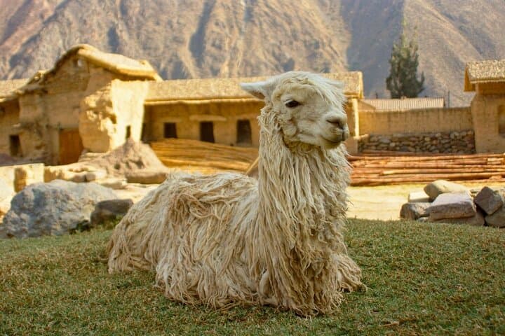 2-Day Sacred Valley & Short Inca Trail to Machu Picchu — Practical Guide photo 6