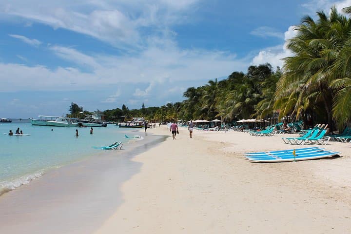 Roatan Eco Walk and West Bay Beach Combo: Suspension Bridges, Jungle Trails & Snorkel-Ready Sands photo 2