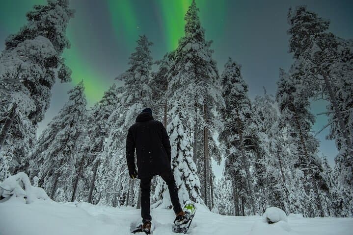 Rovaniemi Snowshoe Tour: Guided Forest Walk with Open-Fire Picnic photo 3