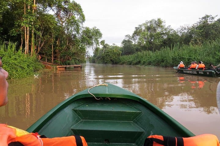 Kinabatangan Dawn Cruise: Sukau Rainforest Wildlife Safari from Sandakan