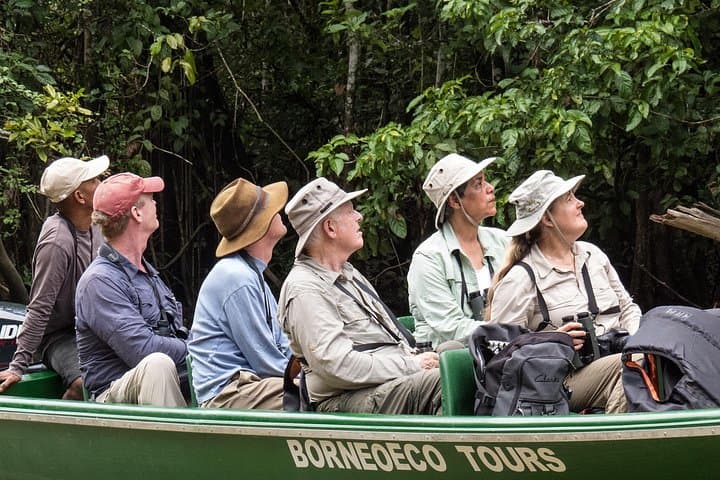 Sandakan 3-Day Sukau Rainforest Wildlife Journey on the Kinabatangan River photo 2