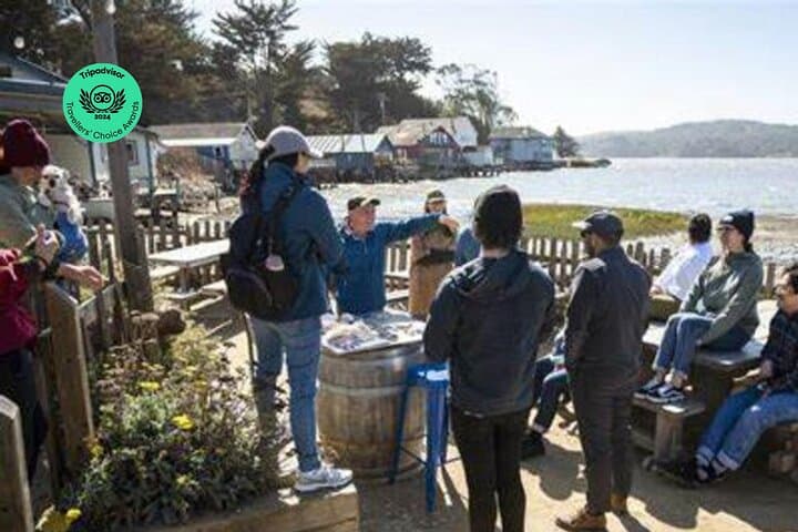 5-Day California Vineyards, Waves & Bioluminescent Kayak Tour