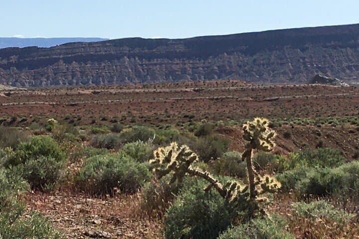 Explore Southern Utah’s Red Rock Desert on a Full-Day UTV Backcountry Adventure photo 5
