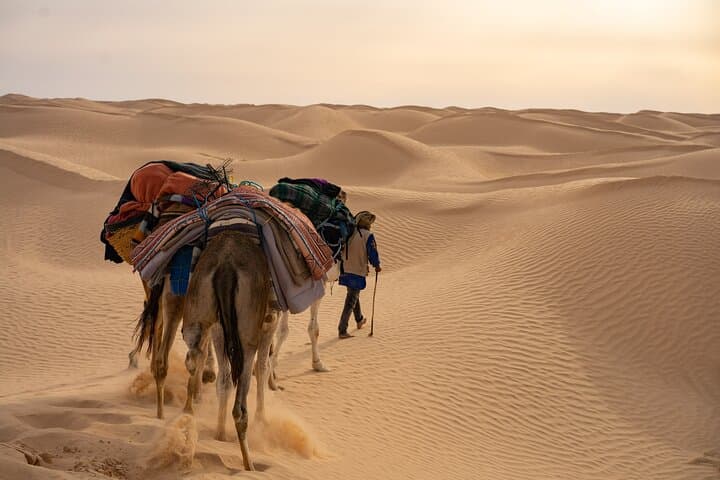 2-Day Tunis to Sahara Desert Tour with Overnight Tent in Douz